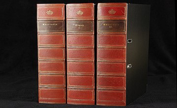 Echtleder Buchrücken Ordner Stehsammler